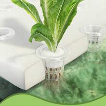 1 Set Hydroponic Germination Kit 24 Pcs Hydroponic Net Pots 24 Pcs Hydroponic Sponge And 1 Pc Hydroponic Planting Board For Soilless Cultivation Garden And Transplanting Plastic Flower Starter Pots Herbs Hydroponic Growing System - A - View 4