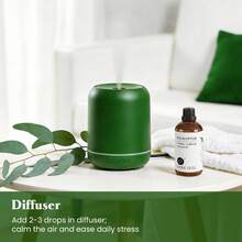 EVOKE OCCU Eucalyptus Essential Oil, Fresh Herbal Scent, 100mL/30mL/10mL For Relaxing Cleaning Diffuser Purifier Humidifier Skin Care Spa Candle Soap Making Hair Care Massage - Eucalyptus - View 4