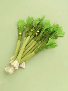 1pc Pesian Cat Mint Toy, Scallion, Cilantro, Carrot Cat Toy, Realistic Vegetable Chew Toy For Self-Play And Teeth Grinding, Pet Toy - Multicolor - View 8