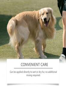 EelJoy 椰子宠物美容喷雾/免冲洗狗狗毛发柔顺亮泽喷雾/椰子宠物美容喷雾，持久留香，柔顺毛发，防静电，滋养毛发，适用于猫狗，香味怡人 - 彩色 - 查看 5