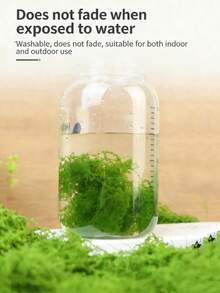 1包100克人造苔藓，仿真苔藓，适用于家居装饰、微缩景观、草坪微景观、盆栽植物和景观装饰，也适用于情人节、婚礼、生日派对装饰。 - 仿真苔蘚 - 查看 6