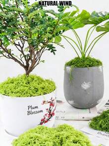 1包100克人造苔藓，仿真苔藓，适用于家居装饰、微缩景观、草坪微景观、盆栽植物和景观装饰，也适用于情人节、婚礼、生日派对装饰。 - 仿真苔蘚 - 查看 4