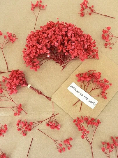 20/30/49/99/299 piezas Mini Flor de Novia Seca y Otras Flores Secas - Para Moldes de Resina, Arte y Manualidades, Ramos Florales Blancos Marfil para Accesorios de Cabello, Coronas de Boda, Decoración de Mesa, Decoración del Hogar