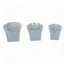 OISE ART STORE Cake Storage Containers - Multicolore - Voir 1
