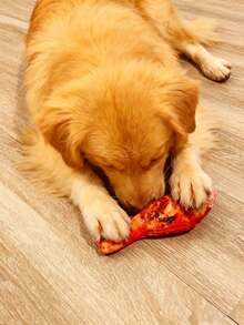 1pc Chicken Leg Design Pet Grinding Teeth Squeaky Toy, Durable Chew Toy For Dog Interactive Supply - Multicolor - View 2