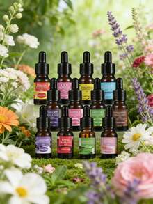 1-Piece Set, Aromatherapy Essential Oil, Humidifier/Aromatherapy Machine/Expansion Stone/Car Aromatherapy/Aromatherapy Essential Oil, Soothing Plant Essential Oil, Suitable For Bedrooms, 12 Fragrance Types - Personalized Gifts, Valentine's Day - A - View 1