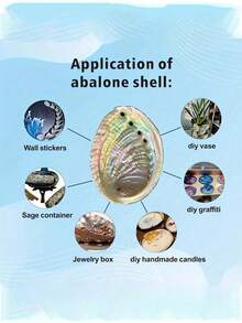 1pc Large Natural Abalone Shell Bowl - Rainbow Smudge Burner And Incense Holder, Wooden Shell Suitable For Sage, Meditation, Yoga Studio, Camping, Rainbow Shell Bowl - Home And Outdoor Decor - Multicolor - View 7