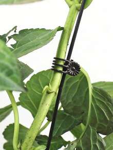 20/40/60 piezas Clips para plantas, Clips para orquídeas Clips de soporte para plantas de orquídeas Clips para flores y enredaderas para sostener tallos y enredaderas y mantenerlos erguidos, color verde oscuro - Clips para plantas - Ver 3