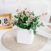 Square Self-Watering PET Planter, Large Capacity, Creative Design To Promote Healthy Growth, Great Gift For Garden Enthusiasts - Square - View 5