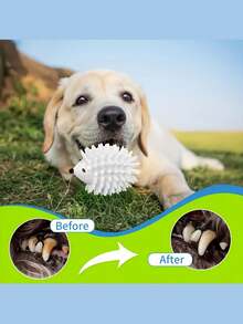 1pc Pet Teeth Grinding Toy, 1pc Durable Plastic Hedgehog Ball For Dogs - Helps Teeth Cleaning And Gum Massage, Promotes Health And Happiness, No Battery Required - Multicolor - View 4