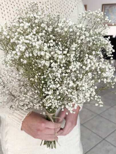 2000+ Stems Natural Dried Baby's Breath Flower Bouquet - 16" Ivory White Preserved Real Flowers, Vase Filler Branches, For Wedding Decor, Tabletop Centerpiece, Home Decor, DIY Floral Crafts