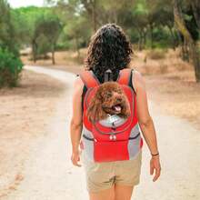 Haustier Rucksack - Orange - Übersicht 2