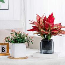 Square Self-Watering PET Planter, Large Capacity, Creative Design To Promote Healthy Growth, Great Gift For Garden Enthusiasts - Square - View 11