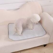 1pc Reusable Pet Pee Pad, Pet Bed Mat, Dog Training Pad, Pet Sofa Mat, Dog Cage Mat, Suitable For Medium/Small Cats & Dogs, Non-Stick, Machine Washable, Granular Texture - Multicolor - View 10