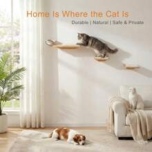 Wall Mounted Cat Shelves With Elevated Ceramic Feeding Station Scandinavian Floating Design Solid Plywood Two Climbing Steps With Cotton Mats Modern Cat Wall Furniture Set 300 Ml Bowls - Light Wood - View 2