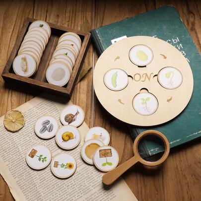 Children's Wooden DIY Life Cycle Puzzle, Natural Wood Plant & Insect Life Cycle DIY Cognitive Cards, Develop Observation Skills, Educational Toy, Suitable For Parent-Child Interaction, Birthday, Children's Day, Easter, Halloween, Christmas Gifts