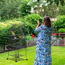 Bird Cages - B - View 8