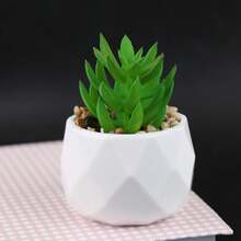1株人造毛绒多肉植物，菱形图案，白色小盆栽，桌面摆件，仿真花迷你盆栽，家居装饰，派对装饰 - 彩色 - 查看 30