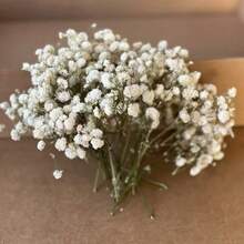 50/100pcs White Artificial Baby's Breath Flowers - Delicate, Durable And Easy To DIY, Suitable For Wedding, Home And Office Decor, Party And Garden - Desktop Boho Style Floral Wreath, No Feather, No Electricity, Ideal For Christmas, Thanksgiving And Halloween Christmas Decorations Home Christmas Gifts Christmas Decor - White - View 2