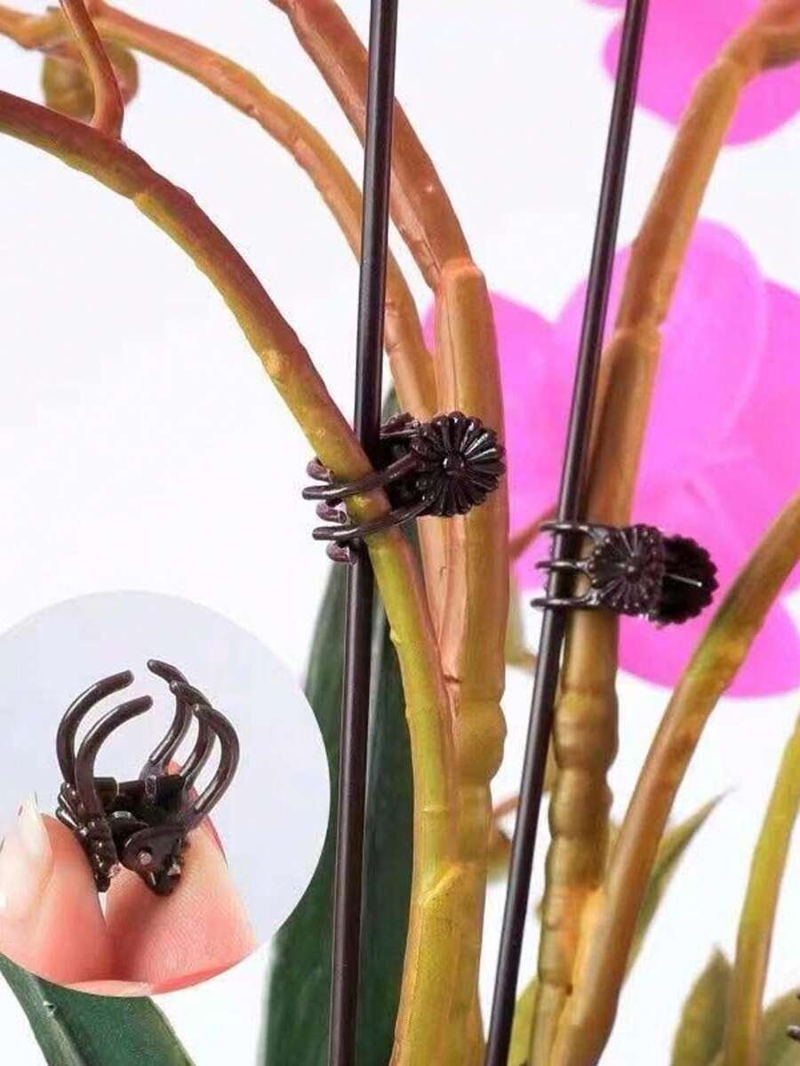 20/40/60pcs Plant Clips, Orchid Clips Plant Orchid Support Clips Flower And Vine Clips For Supporting Stems Vines Grow Upright Dark Green - Plant Clips - View 1