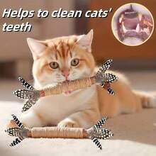 2-Pack Realistic Feather Handmade Cat Wand Toys - Durable Material, Ideal Tool For Dental Health And Play, Cat Toys, Cat Chew Toys, Kicking Sticks, Teeth Cleaning, Specially Designed For Teething Pets, Indoor Interactive Cat Toys, Oral Care Pads AUAQ - 2 - View 6