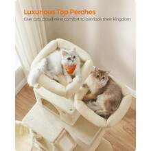 [Holiday Haul]FEANDREA 66.1" Tall Large Multi-Level Cat Tree With 13 Scratching Posts - Cream White - View 5