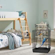 Bird Cages - D - View 5