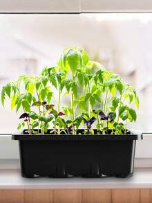 1套带湿度罩的种子发芽托盘，室内温室种子发芽套装，带透明排水底座（12格种子托盘，黑色） - A - 查看 2