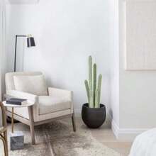 Cactus Artificial Grande 82.6 cm en Maceta para Decoración del Hogar Jardín Oficina Regalo para Inauguración de Casa-B029 - Mezcla - Ver 5