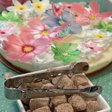 مجموعة مشابك تقديم صغيرة، ملقاط مكعبات السكر والثلج بنمط وردي من الفولاذ المقاوم للصدأ - مناسبة للحفلات، آمنة للغسل في غسالة الأطباق، مثالية للقهوة والمقبلات والحلويات والوجبات الخفيفة والحلوى، مثالية للبوفيهات والبارات وحفلات الشواء والفعاليات الكاترينج - - - مشاهدة 4