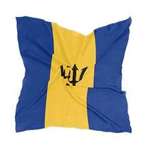 Women's Fashion Silk Scarf Square Satin Headscarf Neck Scarf Head Hair Wraps-B032 - Bandera de Barbados - Ver 1