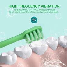 LinLin&Reyn 5 Modes Colorful Electric Toothbrush With Soft Bristles For Adults USB Type C Charging - Green - View 3