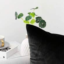 1个天鹅绒奢华枕套，哑光优雅质感，适用于沙发和卧室（不含枕芯） - 1PC - 查看 4