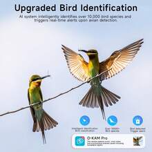 SANSCO Solar Powered Security Cameras Wireless Outdoor, 4pcs Solar Powered 3K 4MP Surveillance 2.4GHz & 5Ghz WiFi Cameras For Home Security Outside, PIR/AI Motion Detection, IP65 Waterproof, Color Night Vision, 2-Way Audio, White - White - View 6