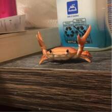 Realistic Crab Shaped Pen Holder, 1 Creative Cute Desktop Pen Holder, Decorative Desktop Decorations For Office And Home, Desk Accessories, Summer Gifts, Office Stationery Supplies, Room Decoration, Winter Decoration, Birthday Gift, Home Decoration - 褐色 - 查看 5