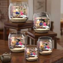 大容量透明鱼缸 - 圆形设计，适合养金鱼和乌龟，配有装饰植物和石头，无需电源 | 光滑亮泽设计 | 自然美学风格 - 查看 5