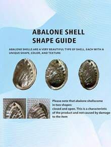 1pc Large Natural Abalone Shell Bowl - Rainbow Smudge Burner And Incense Holder, Wooden Shell Suitable For Sage, Meditation, Yoga Studio, Camping, Rainbow Shell Bowl - Home And Outdoor Decor - Multicolor - View 8