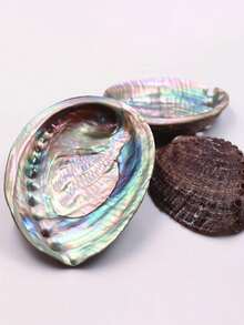 1pc Large Natural Abalone Shell Bowl - Rainbow Smudge Burner And Incense Holder, Wooden Shell Suitable For Sage, Meditation, Yoga Studio, Camping, Rainbow Shell Bowl - Home And Outdoor Decor - Multicolor - View 4