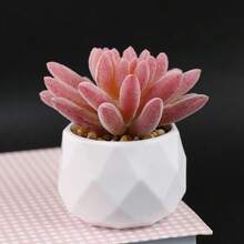 1株人造毛绒多肉植物，菱形图案，白色小盆栽，桌面摆件，仿真花迷你盆栽，家居装饰，派对装饰 - 彩色 - 查看 37