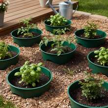 Durable Round Plant Growth Rings With Smooth Edges For Garden Barrier Protection - Multicolor - View 11