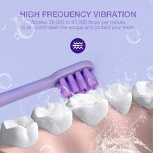 LinLin&Reyn 5 Modes Colorful Electric Toothbrush With Soft Bristles For Adults USB Type C Charging - Màu tím - Xem 3