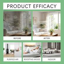 Air Freshener Deodorizer, Room, Living Room, Car Cabin Freshening Fragrance, Convenient Spray To Eliminate Odors - A - View 9