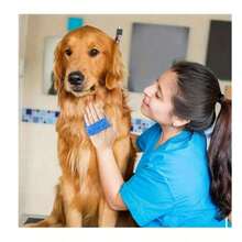 猫抓按摩器 宠物猫抓挠摩擦刷 幼猫美容 自清洁桌 狗狗幼猫抓挠梳 - 多色 - 查看 6