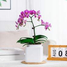 Square Self-Watering PET Planter, Large Capacity, Creative Design To Promote Healthy Growth, Great Gift For Garden Enthusiasts - Square - View 4