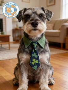 一件式爱尔兰节日宠物猫咪套装领巾，猫咪蝴蝶结领带，三叶草绿色领带，狗狗配饰，圣帕特里克节猫咪项圈，三叶草宠物配饰，绿色宠物头巾，节日宠物服装，带蝴蝶结的狗狗围巾，节日宠物项圈，派对猫咪蝴蝶结 - 彩色 - 查看 1