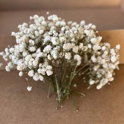 50/100/300pcs Natural Preserved Baby's Breath Flowers - Elegant Everlasting Baby's Breath, Suitable For Home, Office, Wedding, Christmas, Halloween Party, Crafts, Maintenance-Free, Suitable For Ages 14+ (No Paper Card)