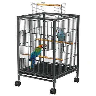 Bird Cages