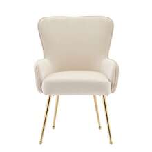 Dining Chairs - Beige+Gold + Velvet-1 - View 6