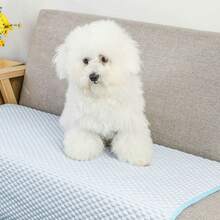 1pc Reusable Pet Pee Pad, Pet Bed Mat, Dog Training Pad, Pet Sofa Mat, Dog Cage Mat, Suitable For Medium/Small Cats & Dogs, Non-Stick, Machine Washable, Granular Texture - Multicolor - View 9