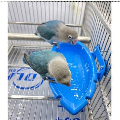 Multi-Functional Bird Bath Bowl, Feeder, Waterer, Food & Water Dish For Small Parrots (The Actual Color May Be Slightly Lighter Than The Product Image)
